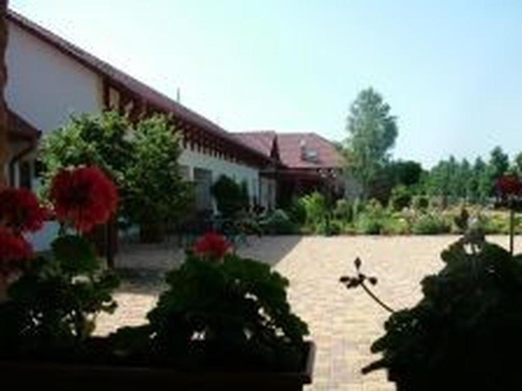 Verba Tanya Kotaj Exterior foto