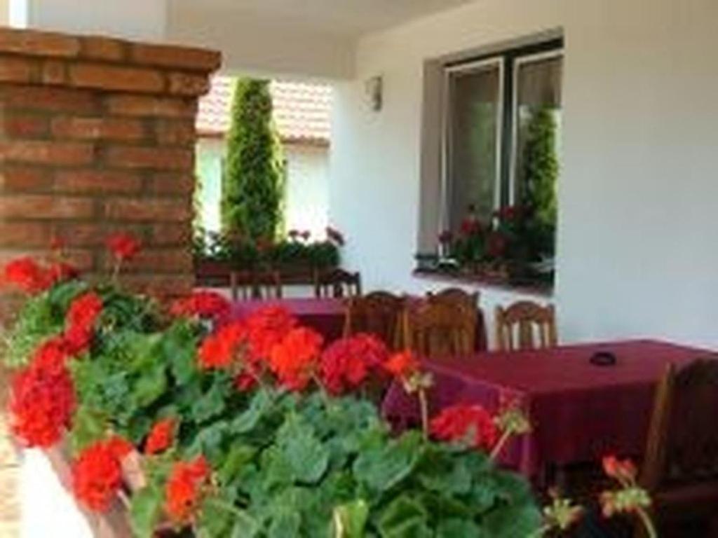 Verba Tanya Kotaj Exterior foto